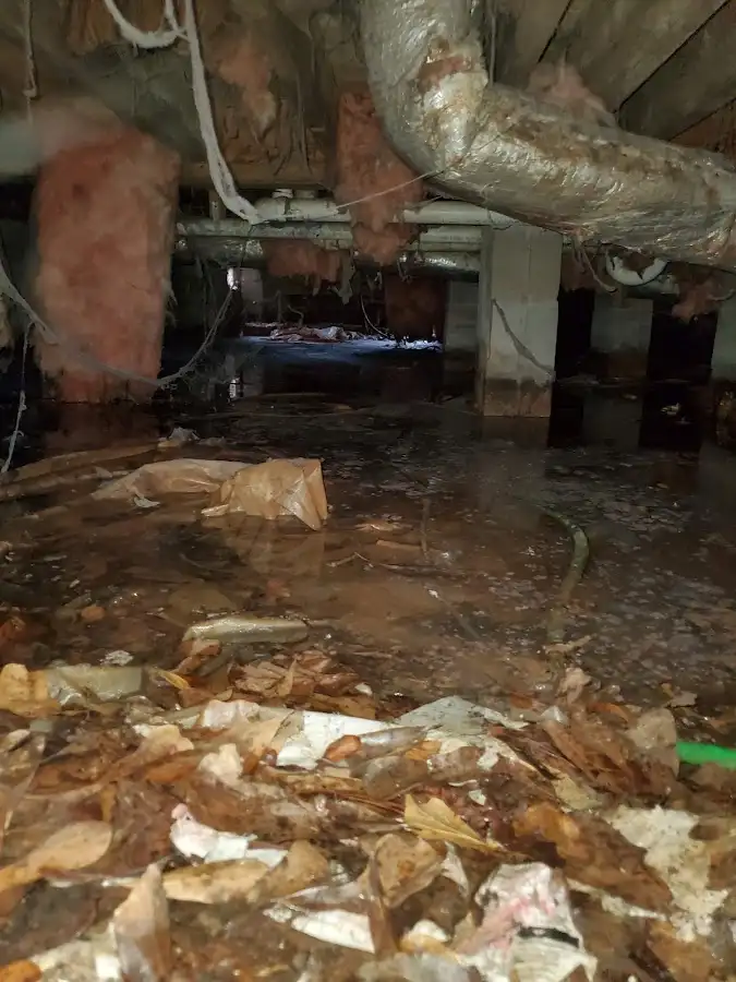 Crawl space flood assessment for Leak Detection & Repair in Grand Ledge