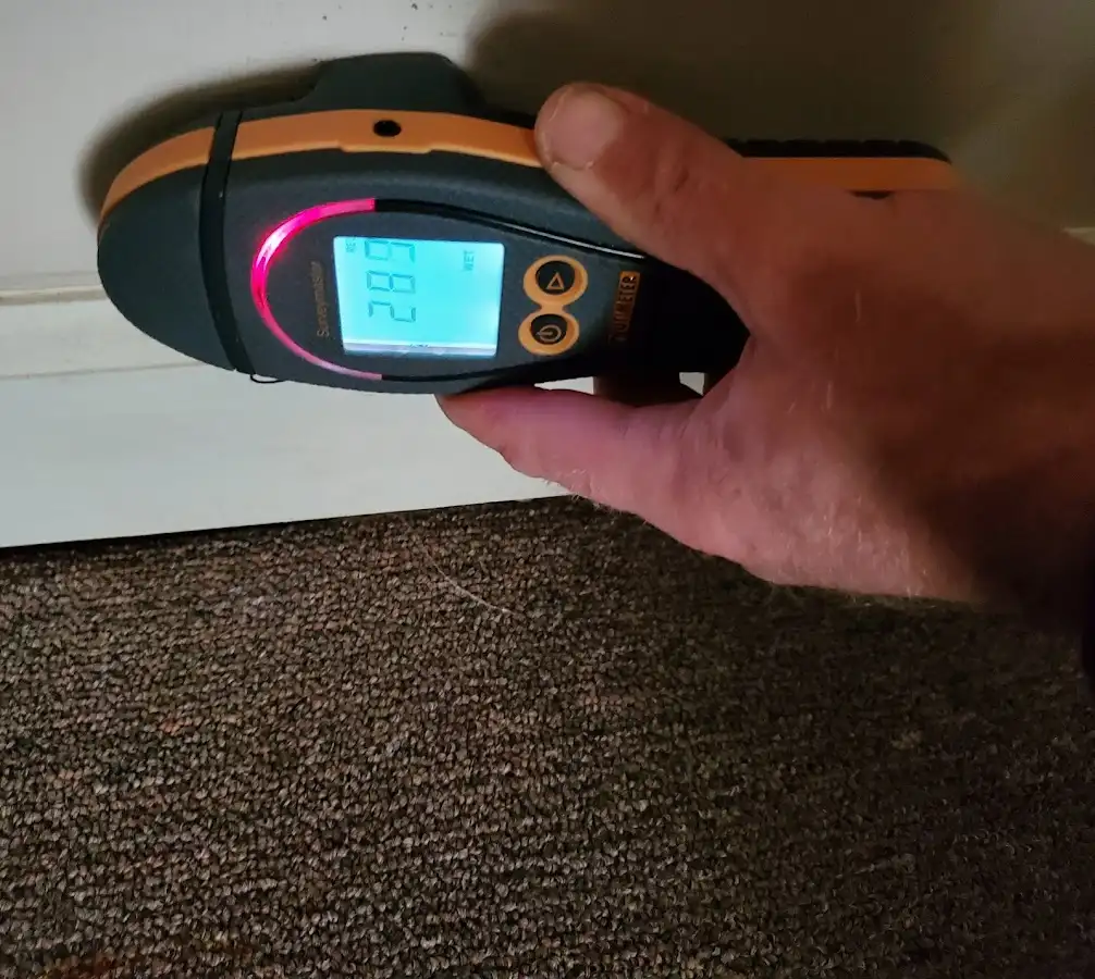 Moisture detection at baseboard during Mold Inspection & Testing in Grand Ledge